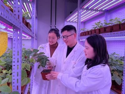 重磅!河南大學(xué)抓好“這件大事”