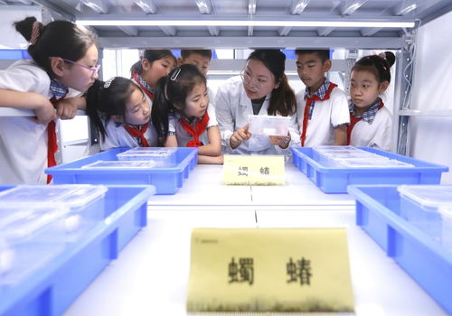 教育 科普課堂 感受生物多樣性
