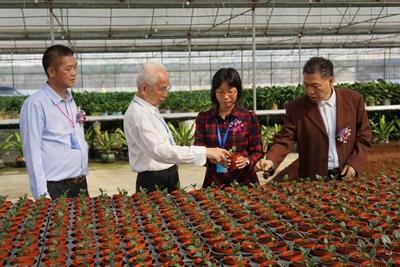 神舟帶回的太空蔬菜更好吃?江門“飛天”種子專業(yè)戶告訴你真相
