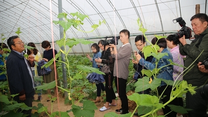 楊凌管委會網:旱區主流媒體走進楊凌 感受農城20年發展變化(圖)