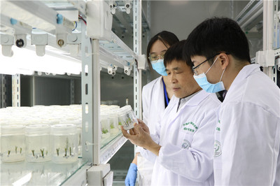 江蘇省"最美科技工作者"丨張紹鈴:一攬子問到底的中國"梨"首席