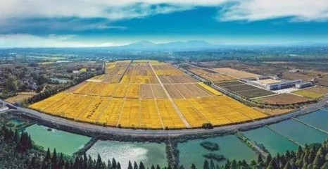 春天里,溧水播下“三農”種子