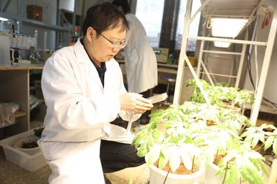 崔秀明研究員團隊獲農業農村部《2020-2021年度神農中華農業科技獎》科學研究類成果二等獎