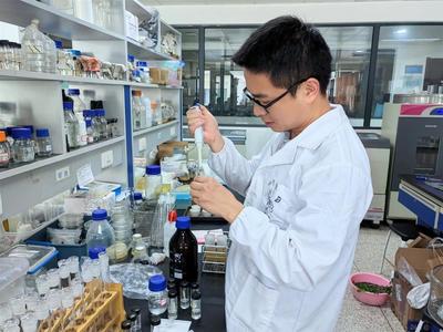 打捆回收綜合利用,孝感秸稈禁燒變堵為疏