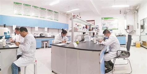 新疆塔里木河種業股份20年改革發展紀實:做強農業“芯片” 當好種業“龍頭”