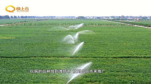 守好三農壓艙石 推動農業生產穩中有進