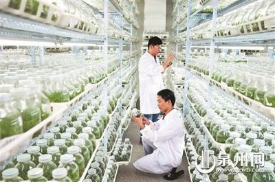 晉江:持續創新轉型 繼續扛旗領跑