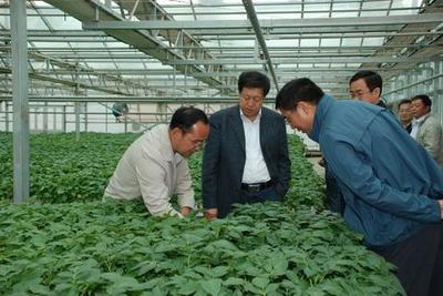 新聞網