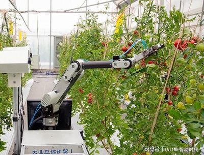 工程機器人國內外發展概況
