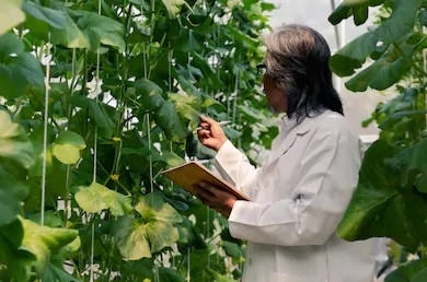 2019年戰略性新興產業和未來產業發展專項資金申請指南
