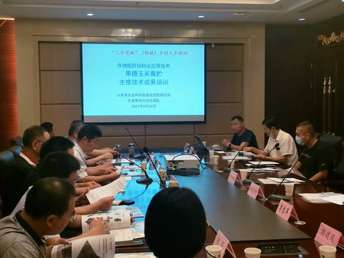 山東省農(nóng)業(yè)科學(xué)院 科技動(dòng)態(tài) 果穗玉米青貯,解決產(chǎn)業(yè)難題 畜牧獸醫(yī)所組織召開(kāi)現(xiàn)場(chǎng)觀摩交流會(huì)