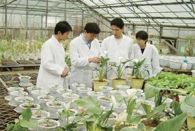 與國家緩控釋肥工程技術(shù)研究中心副主任張民“云端對話”--發(fā)展緩控釋肥是實(shí)現(xiàn)化肥減量增效的重要方向