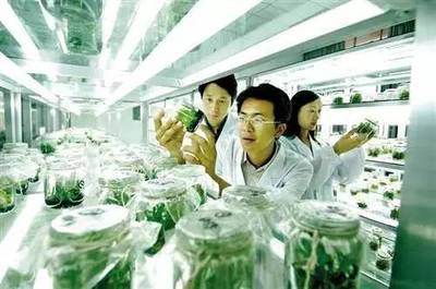 太空農(nóng)業(yè)、分子農(nóng)業(yè),你知道嗎?馬云天貓小店消滅500萬家傳統(tǒng)小賣部.