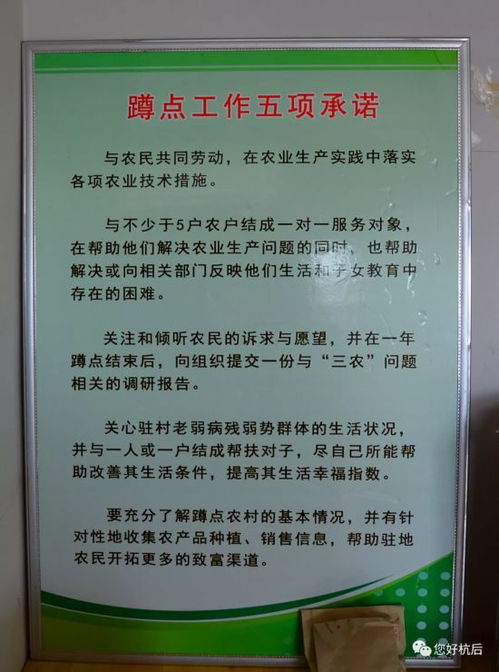 農業農村部全國農技中心 中國農技協專家來杭錦后旗調研科技小院建設情況