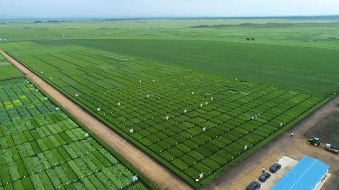 科學種植新優品種 建好現代農業試驗田
