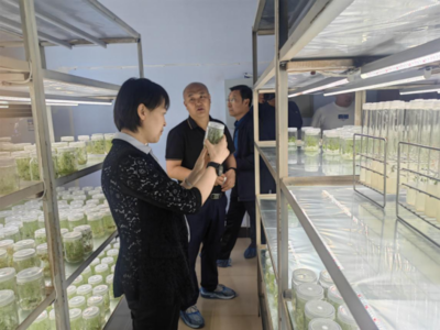 市科技局局長王立榮到山西農業大學高寒區作物研究所調研
