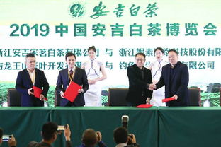 安吉白茶 共享綠色生活 2019安吉白茶博覽會盛大啟幕