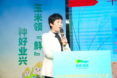 產值近900億元 鮮食玉米不斷向縱深發展