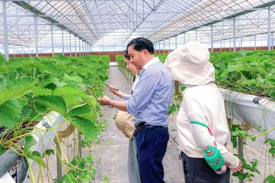 南京市溧水區:凝聚非公企業智慧 吹響“種子翻身仗”號角民企種業強“芯” 賦能鄉村振興
