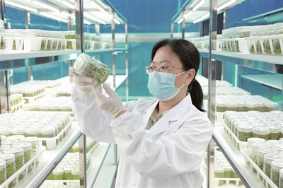 逐綠奮進生態美 水清林茂糧更豐--周寧縣踐行"三庫+碳庫"理念推進綠色發展