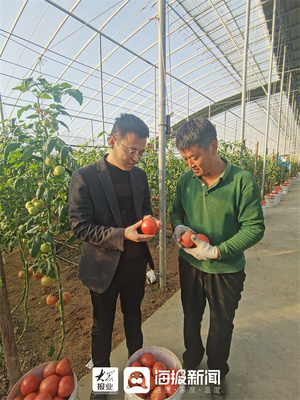 立足菜鄉 花開全國,“壽光模式”在全國26省市落地開花