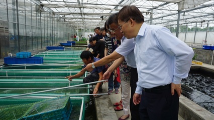 市政協農業和農村委員會參觀我院莊行試驗站