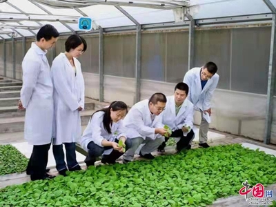 云南省煙草農(nóng)業(yè)科學(xué)研究院科技創(chuàng)新 引領(lǐng)煙草產(chǎn)業(yè)發(fā)展