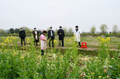 信陽(yáng)市農(nóng)業(yè)科學(xué)院 河南省農(nóng)業(yè)科學(xué)院信陽(yáng)分院