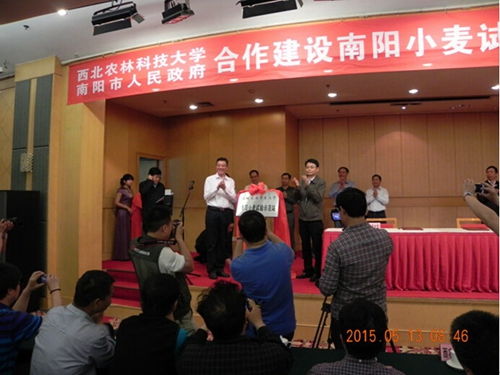 河南農業科學院網 西北農林科技大學與南陽市人民政府舉行合作建設南陽小麥試驗示范站簽約暨揭牌儀式