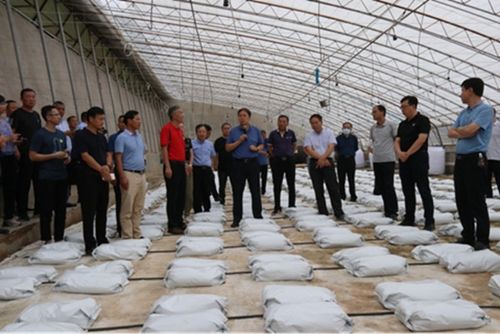 陜西省設施蔬菜科技創新與試驗示范觀摩研討會舉辦