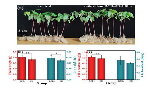 我科學家研發可轉化光譜大棚薄膜