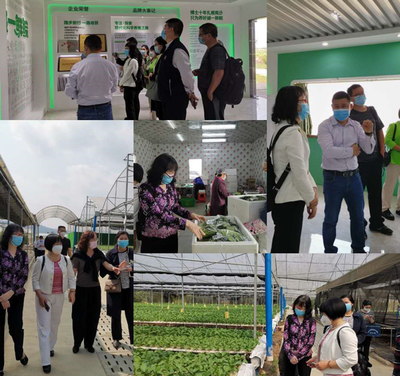 經濟研究所赴南沙區、增城區開展都市農業產業發展專題調研