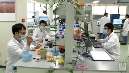 種子實驗室的科研工作現場。