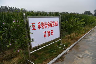 這個實驗站,是一座設在田間科研殿堂