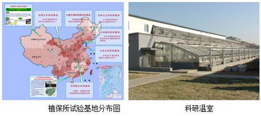 中國農業科學院植物保護研究所改革開放40年回顧