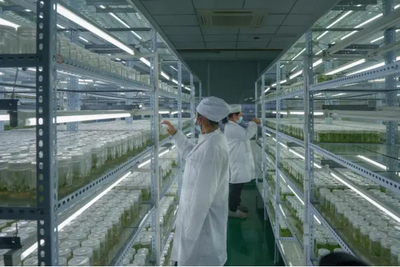 射陽人大:向新而行 助力發展農業新質生產力