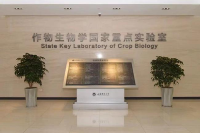 走進山東農業大學 - 園藝學院:科技與藝術交融,園藝讓生活更美好