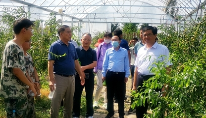 【水建學院】赴新疆拓展科研立地途徑